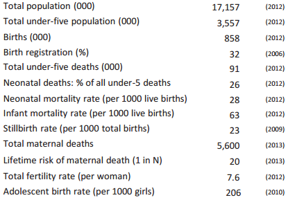 niger demographics